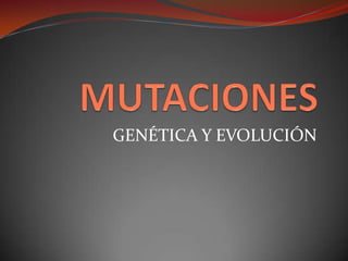 MUTACIONES GENÉTICA Y EVOLUCIÓN 