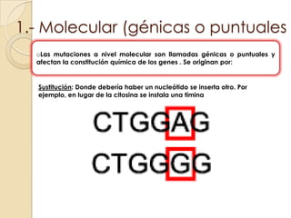 Afectan a las células productoras de gametos apareciendo gametos con mutaciones.Tipos de mutaciones Las mutaciones pueden darse en dos niveles diferentes:1.- Molecular (génicas o puntualesLas mutaciones a nivel molecular son llamadas génicas o puntuales y afectan la constitución química de los genes . Se originan por:Sustitución: Donde debería haber un nucleótido se inserta otro. Por ejemplo, en lugar de la citosina se instala una timina