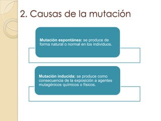 2. Causas de la mutación 