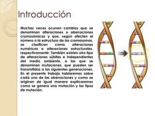 IntroducciónMuchas veces ocurren cambios que se denominan alteraciones o aberraciones cromosómicas y que, según afecten el número o la estructura de los cromosomas, se clasifican como alteraciones numéricas o alteraciones estructurales, respectivamente. También existen otro tipo de alteraciones súbitas e independientes del medio ambiente, a las que se denominan mutaciones, que pueden ser transmitidas a las siguientes generaciones. En el presente trabajo hablaremos sobre cada una de las aberraciones y como se originan de igual manera explicaremos como se genera una mutación y los tipos de mutación.