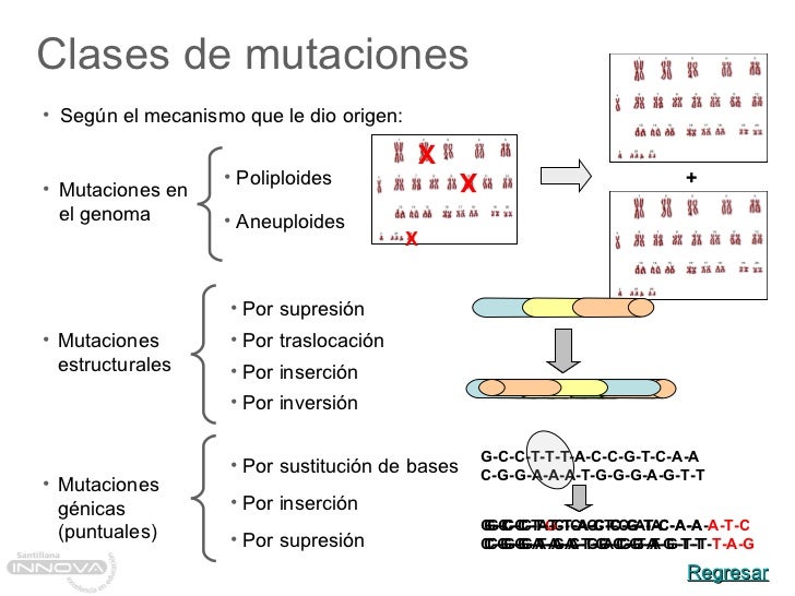 Mutaciones