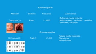 Autosomopatías
SíndromeAlteración Frecuencia Cuadro clinico
Trisonomía 13
XX (mujeres) X
1 / 4.600Patau
Deficiencia mental profunda.
Malformaciones cardíacas, genitales,
cerebrales y dactilares.
Gonosomapatías
Triple X 1/1.000
Retraso mental moderado.
Alteraciones
neuropsíquicas.
 
