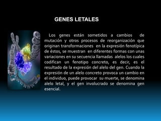 Mutaciones | PPTX