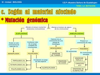 IX - Unidad : BIOLOGÍA
TEMA: LA MUTACIÓN
I.E.P «Nuestra Señora de Guadalupe»
 