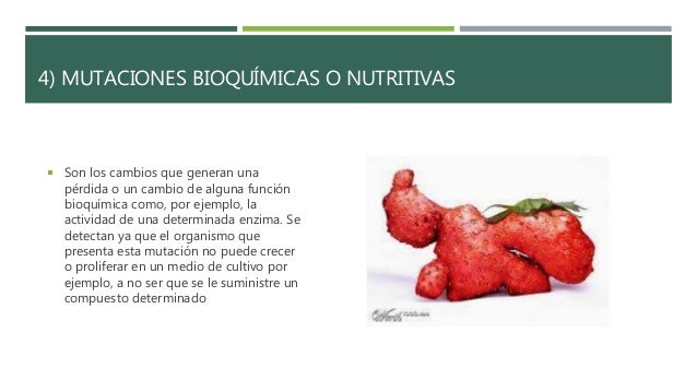 Malformaciones geneticas- Mutacion