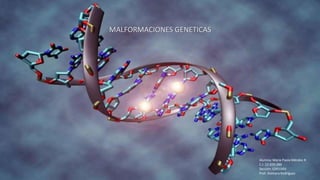 MALFORMACIONES GENETICAS
Alumna: Maria Paola Méndez R
C.I: 22.659.289
Sección: ED01D0V
Prof. Xiomara Rodríguez
 