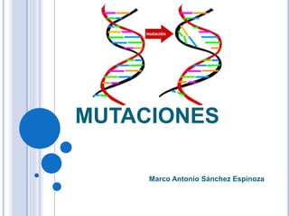 MUTACIONES
Marco Antonio Sánchez Espinoza
 