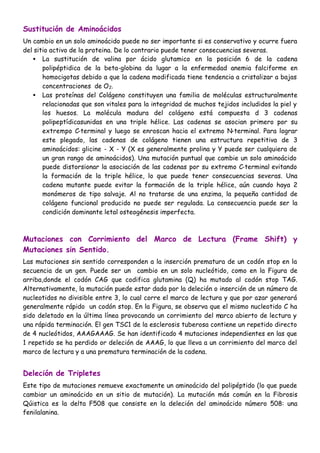 Sustitución de Aminoácidos
Un cambio en un solo aminoácido puede no ser importante si es conservativo y ocurre fuera
del sitio activo de la proteina. De lo contrario puede tener consecuencias severas.
• La sustitución de valina por ácido glutamico en la posición 6 de la cadena
polipéptidica de la beta-globina da lugar a la enfermedad anemia falciforme en
homocigotas debido a que la cadena modificada tiene tendencia a cristalizar a bajas
concentraciones de O2.
• Las proteínas del Colágeno constituyen una familia de moléculas estructuralmente
relacionadas que son vitales para la integridad de muchos tejidos includidos la piel y
los huesos. La molécula madura del colágeno está compuesta d 3 cadenas
polipeptídicasunidas en una triple hélice. Las cadenas se asocian primero por su
extrempo C-terminal y luego se enroscan hacia el extremo N-terminal. Para lograr
este plegado, las cadenas de colágeno tienen una estructura repetitiva de 3
aminoácidos: glicine - X - Y (X es generalmente prolina y Y puede ser cualquiera de
un gran rango de aminoácidos). Una mutación puntual que cambie un solo aminoácido
puede distorsionar la asociación de las cadenas por su extremo C-terminal evitando
la formación de la triple hélice, lo que puede tener consecuencias severas. Una
cadena mutante puede evitar la formación de la triple hélice, aún cuando haya 2
monómeros de tipo salvaje. Al no tratarse de una enzima, la pequeña cantidad de
colágeno funcional producido no puede ser regulada. La consecuencia puede ser la
condición dominante letal osteogénesis imperfecta.
Mutaciones con Corrimiento del Marco de Lectura (Frame Shift) y
Mutaciones sin Sentido.
Las mutaciones sin sentido corresponden a la inserción prematura de un codón stop en la
secuencia de un gen. Puede ser un cambio en un solo nucleótido, como en la Figura de
arriba,donde el codón CAG que codifica glutamina (Q) ha mutado al codón stop TAG.
Alternativamente, la mutación puede estar dada por la deleción o inserción de un número de
nucleotidos no divisible entre 3, lo cual corre el marco de lectura y que por azar generará
generalmente rápido un codón stop. En la Figura, se observa que el mismo nucleotido C ha
sido deletado en la última línea provocando un corrimiento del marco abierto de lectura y
una rápida terminación. El gen TSC1 de la esclerosis tuberosa contiene un repetido directo
de 4 nucleótidos, AAAGAAAG. Se han identificado 4 mutaciones independientes en las que
1 repetido se ha perdido or deleción de AAAG, lo que lleva a un corrimiento del marco del
marco de lectura y a una prematura terminación de la cadena.
Deleción de Tripletes
Este tipo de mutaciones remueve exactamente un aminoácido del polipéptido (lo que puede
cambiar un aminoácido en un sitio de mutación). La mutación más común en la Fibrosis
Qúistica es la delta F508 que consiste en la deleción del aminoácido número 508: una
fenilalanina.
 