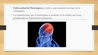 • Enfermedad de Huntington: se debe a una mutación en el gen de la
huntingtina.
• La mutación hace que la huntingtina se acumule en las células nerviosas,
produciendo su degeneración progresiva.
 