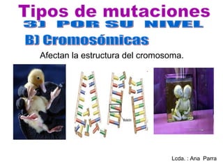 Afectan la estructura del cromosoma.




                                 Lcda. : Ana Parra
 