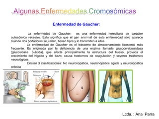 Enfermedad de Gaucher:

            La enfermedad de Gaucher:          es una enfermedad hereditaria de carácter
autosómico recesivo. Esto significa que el gen anormal de esta enfermedad sólo aparece
cuando dos portadores se juntan, tienen hijos y lo transmiten a ellos.
           La enfermedad de Gaucher es el trastorno de almacenamiento lisosomal más
frecuente. Es originada por la deficiencia de una enzima llamada glucocerebrosidasa
(glucosidasa β-ácida). que afecta principalmente la estructura del hueso, provoca el
crecimiento del hígado y del bazo, causa trastornos de coagulación y severos trastornos
neurológicos.
           Existen 3 clasificaciones: No neuronopática, neuronopática aguda y neuronopática
crónica




                                                                            Lcda. : Ana Parra
 