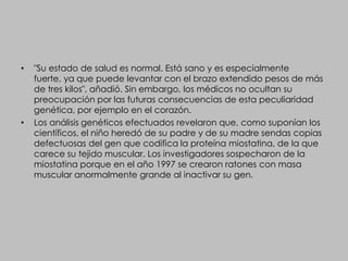 "Su estado de salud es normal. Está sano y es especialmente fuerte, ya que puede levantar con el brazo extendido pesos de más de tres kilos", añadió. Sin embargo, los médicos no ocultan su preocupación por las futuras consecuencias de esta peculiaridad genética, por ejemplo en el corazón.Los análisis genéticos efectuados revelaron que, como suponían los científicos, el niño heredó de su padre y de su madre sendas copias defectuosas del gen que codifica la proteína miostatina, de la que carece su tejido muscular. Los investigadores sospecharon de la miostatina porque en el año 1997 se crearon ratones con masa muscular anormalmente grande al inactivar su gen.