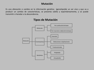 MutaciónEs una alteración o cambio en la información genética  (genotipo)de un ser vivo y que va a producir un cambio de características, se presenta súbita y espontáneamente, y se puede transmitir o heredar a la descendencia. Tipos de Mutación
