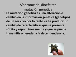 Síndrome de klinefeltermutación genéticaLa mutación genética es una alteración o cambio en la información genética (genotipo) de un ser vivo por lo tanto va ha producir un cambio de características que se presenta súbita y espontánea mente y que se puede transmitir o heredar a la decendendencia.