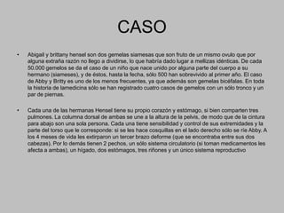 CASOAbigail y brittany hensel son dos gemelas siamesas que son fruto de un mismo ovulo que por alguna extraña razón no llego a dividirse, lo que habría dadolugar a mellizas idénticas. De cada 50.000 gemelos se da el caso de un niño que nace unido por alguna parte del cuerpo a su hermano (siameses), y de éstos, hasta la fecha, sólo 500 han sobrevivido al primer año. El caso de Abby y Britty es uno de los menos frecuentes, ya que además son gemelas bicéfalas. En toda la historia de lamedicina sólo se han registrado cuatro casos de gemelos con un sólo tronco y un par de piernas. Cada una de las hermanas Hensel tiene su propio corazón y estómago, si bien comparten tres pulmones. La columna dorsal de ambas se une a la altura de la pelvis, de modo que de la cintura para abajo son una sola persona. Cada una tiene sensibilidad y control de sus extremidades y la parte del torso que le corresponde: si se les hace cosquillas en el lado derecho sólo se ríe Abby. A los 4 meses de vida les extirparon un tercer brazo deforme (que se encontraba entre sus dos cabezas). Por lo demás tienen 2 pechos, un sólo sistema circulatorio (si toman medicamentos les afecta a ambas), un hígado, dos estómagos, tres riñones y un único sistema reproductivo