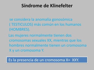 Síndrome de Klinefelter se considera la anomalía gonosómica                 ( TESTICULOS) más común en los humanos (HOMBRES).   Las mujeres normalmente tienen dos cromosomas sexuales XX, mientras que los hombres normalmente tienen un cromosoma X y un cromosoma Y. Es la presencia de un cromosoma X=  XXY.