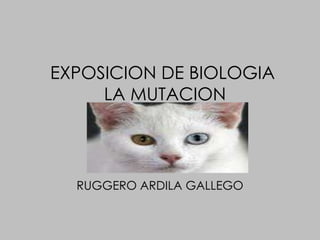 EXPOSICION DE BIOLOGIA LA MUTACIONRUGGERO ARDILA GALLEGO