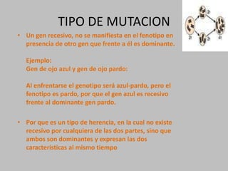 TIPO DE MUTACIONUn gen recesivo, no se manifiesta en el fenotipo en presencia de otro gen que frente a él es dominante.Ejemplo:Gen de ojo azul y gen de ojo pardo:Al enfrentarse el genotipo será azul-pardo, pero el fenotipo es pardo, por que el gen azul es recesivo frente al dominante gen pardo.Por que es un tipo de herencia, en la cual no existe recesivo por cualquiera de las dos partes, sino que ambos son dominantes y expresan las dos características al mismo tiempo