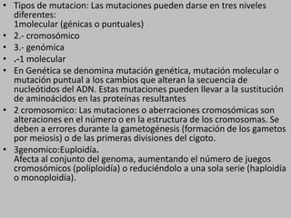 Tipos de mutacion: Las mutaciones pueden darse en tres niveles diferentes:1molecular (génicas o puntuales)2.- cromosómico3.- genómica.-1 molecularEn Genética se denomina mutación genética, mutación molecular o mutación puntual a los cambios que alteran la secuencia de nucleótidos del ADN. Estas mutaciones pueden llevar a la sustitución de aminoácidos en las proteínas resultantes2 cromosomico: Las mutaciones o aberraciones cromosómicas son alteraciones en el número o en la estructura de los cromosomas. Se deben a errores durante la gametogénesis (formación de los gametos por meiosis) o de las primeras divisiones del cigoto.3genomico:Euploidía.Afecta al conjunto del genoma, aumentando el número de juegos cromosómicos (poliploidía) o reduciéndolo a una sola serie (haploidía o monoploidía).