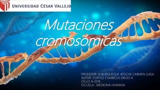 Mutaciones
cromosómicas
PROFESOR: ALBURQUEQUE ATOCHE CARMEN LUISA.
AUTOR: CORTEZ CUMBICUS DIEGO A.
CICLO: II-2018
ESCUELA : MEDICINA HUMANA
 