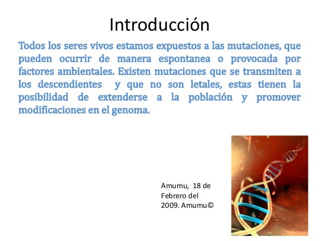 Mutaciones cromosómicas