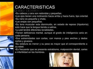 CARACTERISTICAS
•Su cabeza y cara son redondas y pequeñas.
•Los ojos tienen una inclinación hacia arriba y hacia fuera, tipo oriental.
•Su nariz es pequeña y chata.
•Las orejas son pequeñas.
•Su tono muscular esta disminuido, en estado de reposo (hipotonía);
esto hace que la lengua tienda a salirse.
•La piel tendrá diferentes tonalidades.
•Tienen deficiencia mental, aunque el grado de inteligencia varia en
cada persona.
•Sus extremidades son cortas, con manos y pies anchos y dedos
cortos y gruesos.
•Su estatura es menor y su peso es mayor que el correspondiente a
su edad.
•Es frecuente que se presente estrabismo, malposición dental, caries
e infertilidad en los hombres.

 