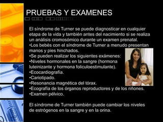PRUEBAS Y EXAMENES
El síndrome de Turner se puede diagnosticar en cualquier
etapa de la vida y también antes del nacimiento si se realiza
un análisis cromosómico durante un examen prenatal.
•Los bebés con el síndrome de Turner a menudo presentan
manos y pies hinchados.
•Se pueden realizar los siguientes exámenes:
•Niveles hormonales en la sangre (hormona
luteinizante y hormona foliculoestimulante).
•Ecocardiografía.
•Cariotipado.
•Resonancia magnética del tórax.
•Ecografía de los órganos reproductores y de los riñones.
•Examen pélvico.
El síndrome de Turner también puede cambiar los niveles
de estrógenos en la sangre y en la orina.

 