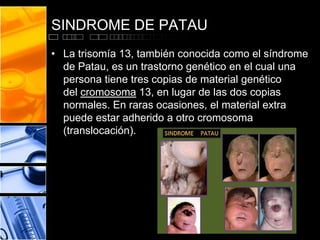 SINDROME DE PATAU
• La trisomía 13, también conocida como el síndrome
de Patau, es un trastorno genético en el cual una
persona tiene tres copias de material genético
del cromosoma 13, en lugar de las dos copias
normales. En raras ocasiones, el material extra
puede estar adherido a otro cromosoma
(translocación).

 