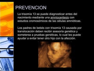PREVENCION
La trisomía 13 se puede diagnosticar antes del
nacimiento mediante una amniocentesis con
estudios cromosómicos de las células amnióticas.
Los padres de bebés con trisomía 13 causada por
translocación deben recibir asesoría genética y
someterse a pruebas genéticas, lo cual les puede
ayudar a evitar tener otro hijo con la afección.

 