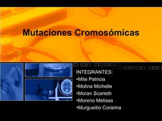 Mutaciones Cromosómicas

INTEGRANTES:
•Mite Patricia
•Molina Michelle
•Moran Scarleth
•Moreno Melissa
•Murgueitio Coraima

 