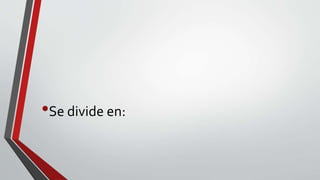 •Se divide en:
 
