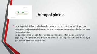 Autopoliploidía:
• La autopoliploidía es debido a alteraciones en la meiosis o la mitosis que
producen conjuntos adicionales de cromosomas, todos procedentes de una
misma especie.
Ya que todos los juegos de cromosomas son procedentes de la misma
especie, son homólogos y tratan de alinearse en la profase I de la meiosis, lo
que puede producir esterilidad.
 