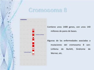 Contiene unos 1400 genes, con unos 140
   millones de pares de bases.



Algunas de las enfermedades asociadas a
   mutaciones del cromosoma 8 son:
   Linfoma   de    Burkitt,   Sìndrome   de
   Werner, etc.
 