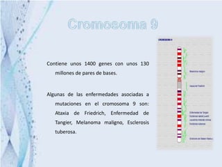 Contiene unos 1400 genes con unos 130
   millones de pares de bases.


Algunas de las enfermedades asociadas a
   mutaciones en el cromosoma 9 son:
   Ataxia de Friedrich, Enfermedad de
   Tangier, Melanoma maligno, Esclerosis
   tuberosa.
 