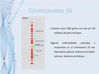 Contiene unos 1400 genes con más de 130
   millones de pares de bases.



Algunas   enfermedades      asociadas   a
   mutaciones en el cromosoma 10 son:
   Hiperplasia adrenal, Síndrome de Dubin-
   Johnson, Síndrome de Refsum
 