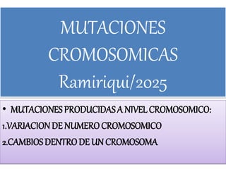 MUTACIONES
CROMOSOMICAS
Ramiriqui/2025
• MUTACIONESPRODUCIDASA NIVELCROMOSOMICO:
1.VARIACIONDE NUMEROCROMOSOMICO
2.CAMBIOSDENTRODE UN CROMOSOMA
 