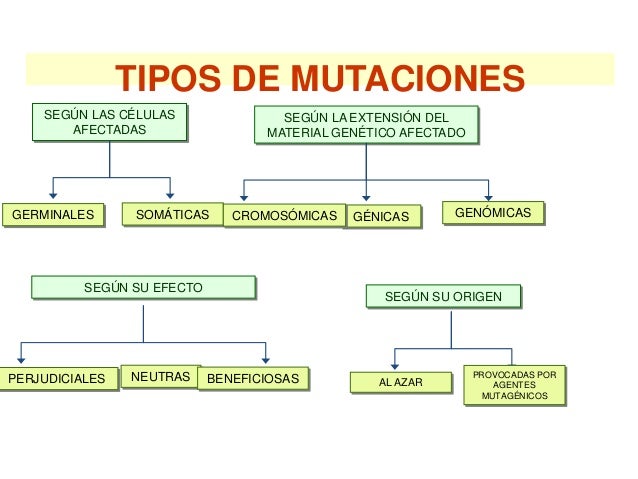 Imatge relacionada