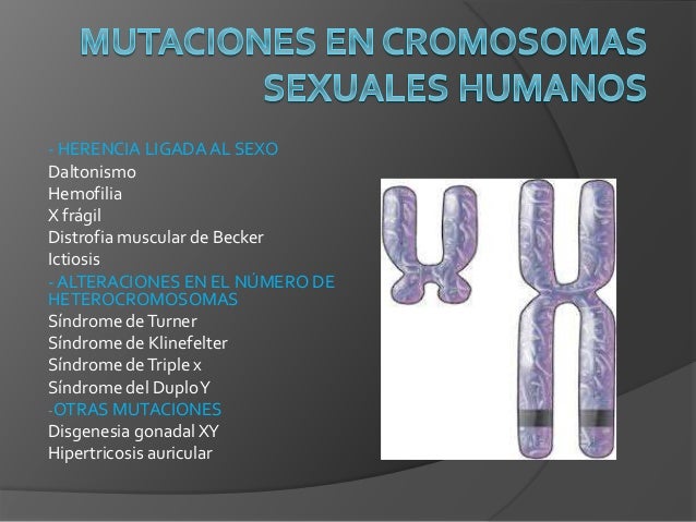 Mutaciones en cromosomas sexuales humanos