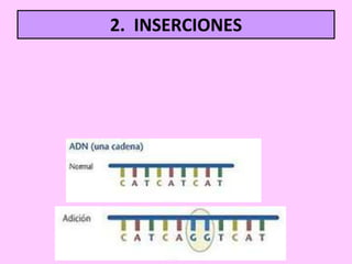 2. INSERCIONES

 