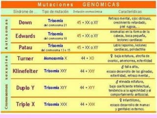 Mutaciones genómicas