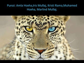 Punoi: Amla Hoxha,Iris Mullaj, Kristi Rama,Muhamed
Hoxha, Marlind Mullaj.
 