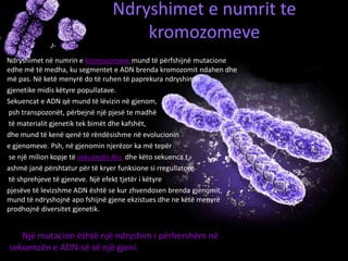 Ndryshimet e numrit te
kromozomeve
Ndryshimet në numrin e kromozomeve mund të përfshijnë mutacione
edhe më të medha, ku segmentet e ADN brenda kromozomit ndahen dhe
më pas. Në ketë menyrë do të ruhen të paprekura ndryshimet
gjenetike midis këtyre popullatave.
Sekuencat e ADN që mund të lëvizin në gjenom,
psh transpozonët, përbejnë një pjesë te madhë
të materialit gjenetik tek bimët dhe kafshët,
dhe mund të kenë qenë të rëndësishme në evolucionin
e gjenomeve. Psh, në gjenomin njerëzor ka më tepër
se një milion kopje të sekuencës Alu dhe këto sekuenca t
ashmë janë përshtatur për të kryer funksione si rregullatorë
të shprehjeve të gjeneve. Një efekt tjetër i këtyre
pjesëve të levizshme ADN është se kur zhvendosen brenda gjenomit,
mund të ndryshojnë apo fshijnë gjene ekzistues dhe ne këtë menyrë
prodhojnë diversitet gjenetik.
Një mutacion është një ndryshim i përhershëm në
sekuencën e ADN-së së një gjeni.
 