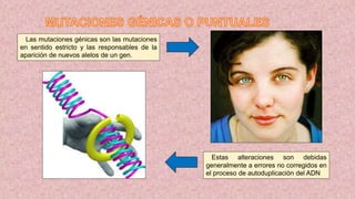 Las mutaciones génicas son las mutaciones
en sentido estricto y las responsables de la
aparición de nuevos alelos de un gen.
Estas alteraciones son debidas
generalmente a errores no corregidos en
el proceso de autoduplicación del ADN
 
