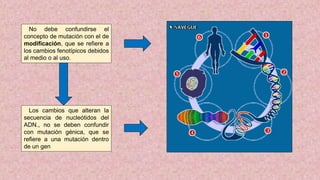 No debe confundirse el
concepto de mutación con el de
modificación, que se refiere a
los cambios fenotípicos debidos
al medio o al uso.
Los cambios que alteran la
secuencia de nucleótidos del
ADN., no se deben confundir
con mutación génica, que se
refiere a una mutación dentro
de un gen
 