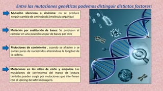 Entre las mutaciones genéticas podemos distinguir distintos factores:
Mutación silenciosa o sinónima: no se produce
ningún cambio de aminoácido.(molécula orgánica)
Mutación por sustitución de bases: Se producen al
cambiar en una posición un par de bases por otro
Mutaciones de corrimiento , cuando se añaden o se
quitan pares de nucleótidos alterándose la longitud de
la cadena.
Mutaciones en los sitios de corte y empalme Las
mutaciones de corrimiento del marco de lectura
también pueden surgir por mutaciones que interfieren
con el splicing del ARN mensajero.
 