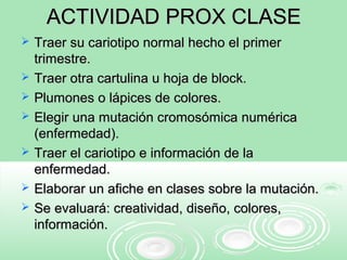 ACTIVIDAD PROX CLASEACTIVIDAD PROX CLASE
 Traer su cariotipo normal hecho el primerTraer su cariotipo normal hecho el primer
trimestre.trimestre.
 Traer otra cartulina u hoja de block.Traer otra cartulina u hoja de block.
 Plumones o lápices de colores.Plumones o lápices de colores.
 Elegir una mutación cromosómica numéricaElegir una mutación cromosómica numérica
(enfermedad).(enfermedad).
 Traer el cariotipo e información de laTraer el cariotipo e información de la
enfermedad.enfermedad.
 Elaborar un afiche en clases sobre la mutación.Elaborar un afiche en clases sobre la mutación.
 Se evaluará: creatividad, diseño, colores,Se evaluará: creatividad, diseño, colores,
información.información.
 