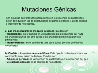 Mutaciones GénicasMutaciones Génicas
Son aquellas que producen alteraciones en la secuencia de nucleótidos
de un gen. Existen las de sustituciones de pares de bases y las de pérdida
o inserción de nucleótidos.
a) Las de sustituciones de pares de bases, pueden ser:
· Transiciones: es el cambio en un nucleótido de la secuencia del ADN
de una base púrica por otra púrica o de una base pirimidínica por otra
pirimidínica.
· Transversiones: es el cambio de una base púrica por una pirimidínica
o viceversa.
b) Pérdida o inserción de nucleótidos. Este tipo de mutación produce un
corrimiento en el orden de lectura. Pueden ser:
· Adiciones génicas: es la inserción de nucleótidos en la secuencia del gen.
· Deleciones génicas: es la pérdida de nucleótidos.
 