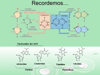 Recordemos…Recordemos…
 