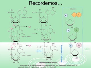 Recordemos…Recordemos…
 