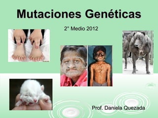 Mutaciones GenéticasMutaciones Genéticas
2° Medio 20122° Medio 2012
Prof. Daniela QuezadaProf. Daniela Quezada
 